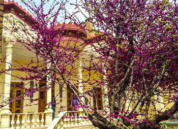Moghadam Museum in Tehran