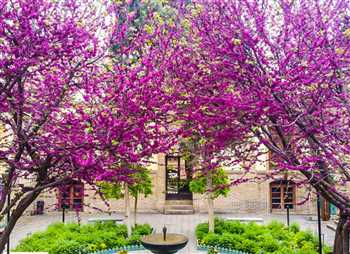 Moghadam Museum in Tehran