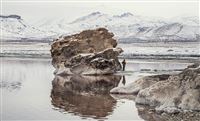 Lake Urmia resting in winter’s arms