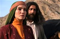 Famed Iranian actors tie knot