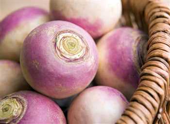 Iranian nibbles in cold winter