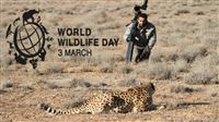 ‘Vortex’ as UN World Wildlife Day Showcase finalist