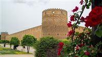 Iran marks National Day of Shiraz