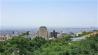 Escape summer heat to Tehran Niloufar Park