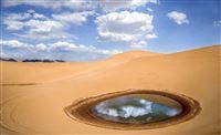 Desert survives by vital liquid pool