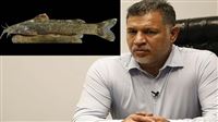 Iran names newly-identified fish after Ali Daee