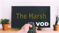 ‘The Marsh’ to be released soon