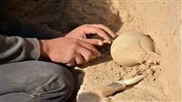 5,000-year-old fingerprint found in Iran’s Burnt City