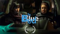 ‘The Blue Bed’ bags award in Canada