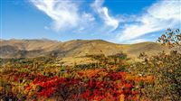 Autumn in Hamedan’s Silvar village: Photos