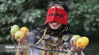 Iran holds Mango & Jasmin Flower Festival