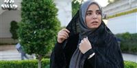 Iran actress  joins nuclear series