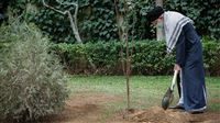 Iranians mark National Tree Planting Week