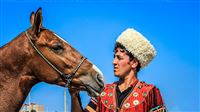 Iran distinctive horses like Ferrari