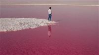 Iran's pink lake in Fars Province