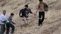 'Snail' wins award in Switzerland