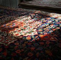 Unveiling beauty of Persian rugs on Carpet Day
