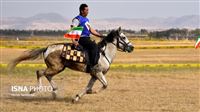 Iran jockeys show equestrian skills
