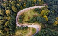 Iran’s Hyrcanian forests in photos