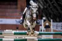 Iran holds show jumping event