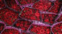 Iran desert offers Dutch roses