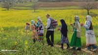 Nowruz, ancient Persian celebration