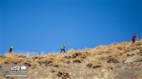 Mountain Climbing Day in Iran: Photos