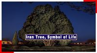 Iran tree symbolizes life, freedom