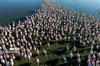 Flamingos display mass chorography in Iran