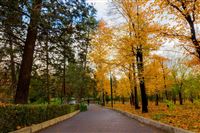 Mellat park, Tehran’s green heart