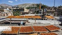 Iran city boasts fruitful golden roofs